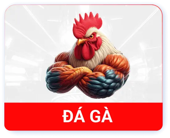 img da ga ok8386